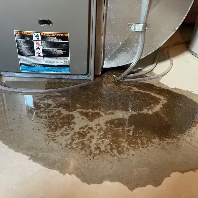 Appliance Leak Cleanup in Jasper County, IA